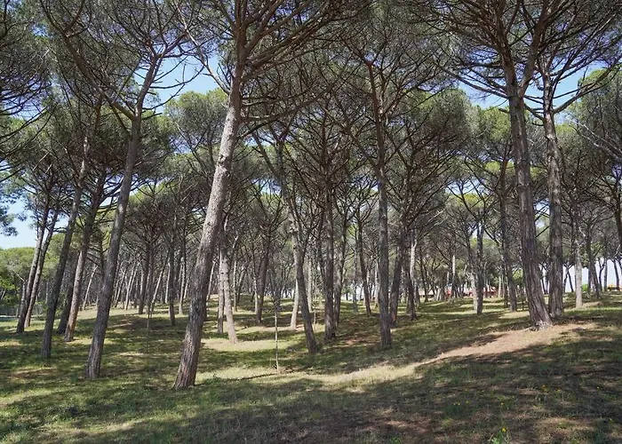 Terrazza Marina * Torre di Montalto
